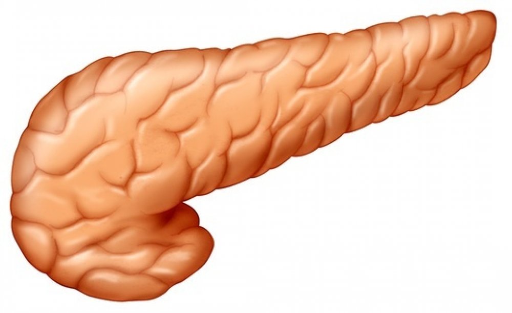 pancreas only